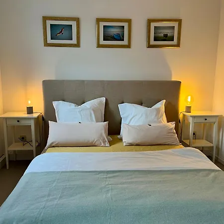 2-room With Terrace Apartment